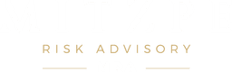 MITZPE Risk Advisory